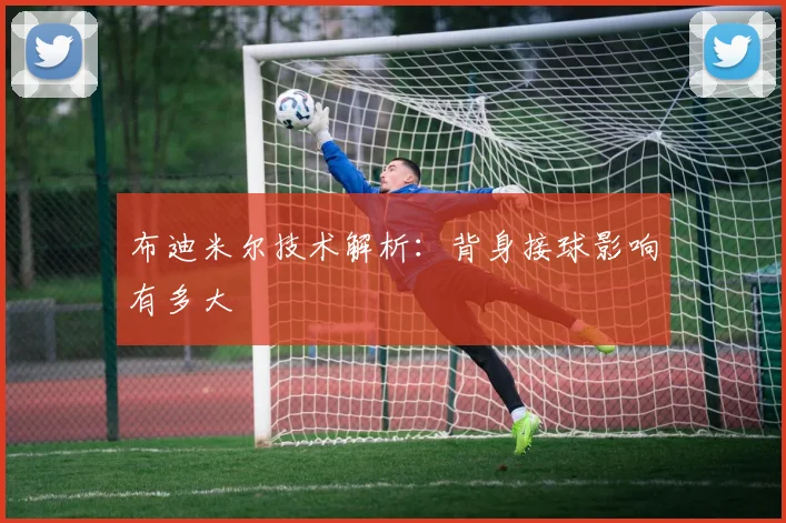 布迪米尔技术解析：背身接球影响有多大
