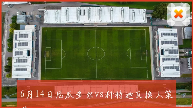 6月14日厄瓜多尔vs科特迪瓦换人策略