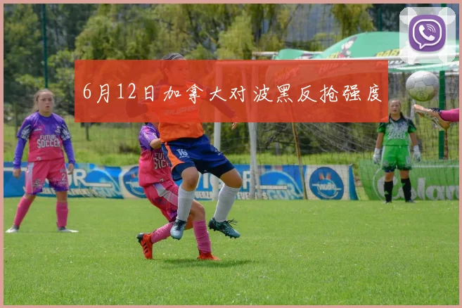 6月12日加拿大对波黑反抢强度